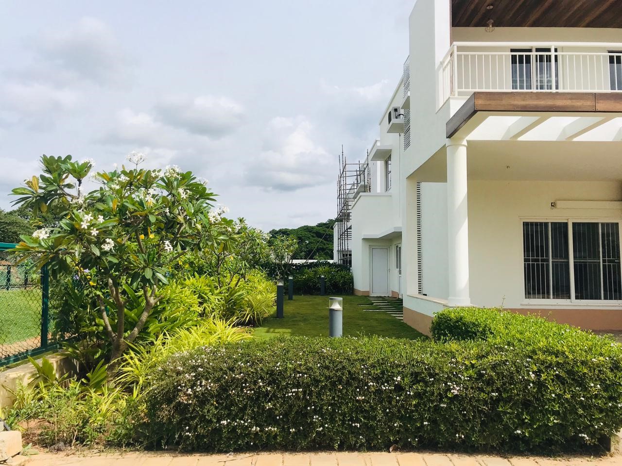 Landscape for WeWork